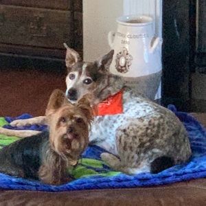 Meet your Posher, Julia